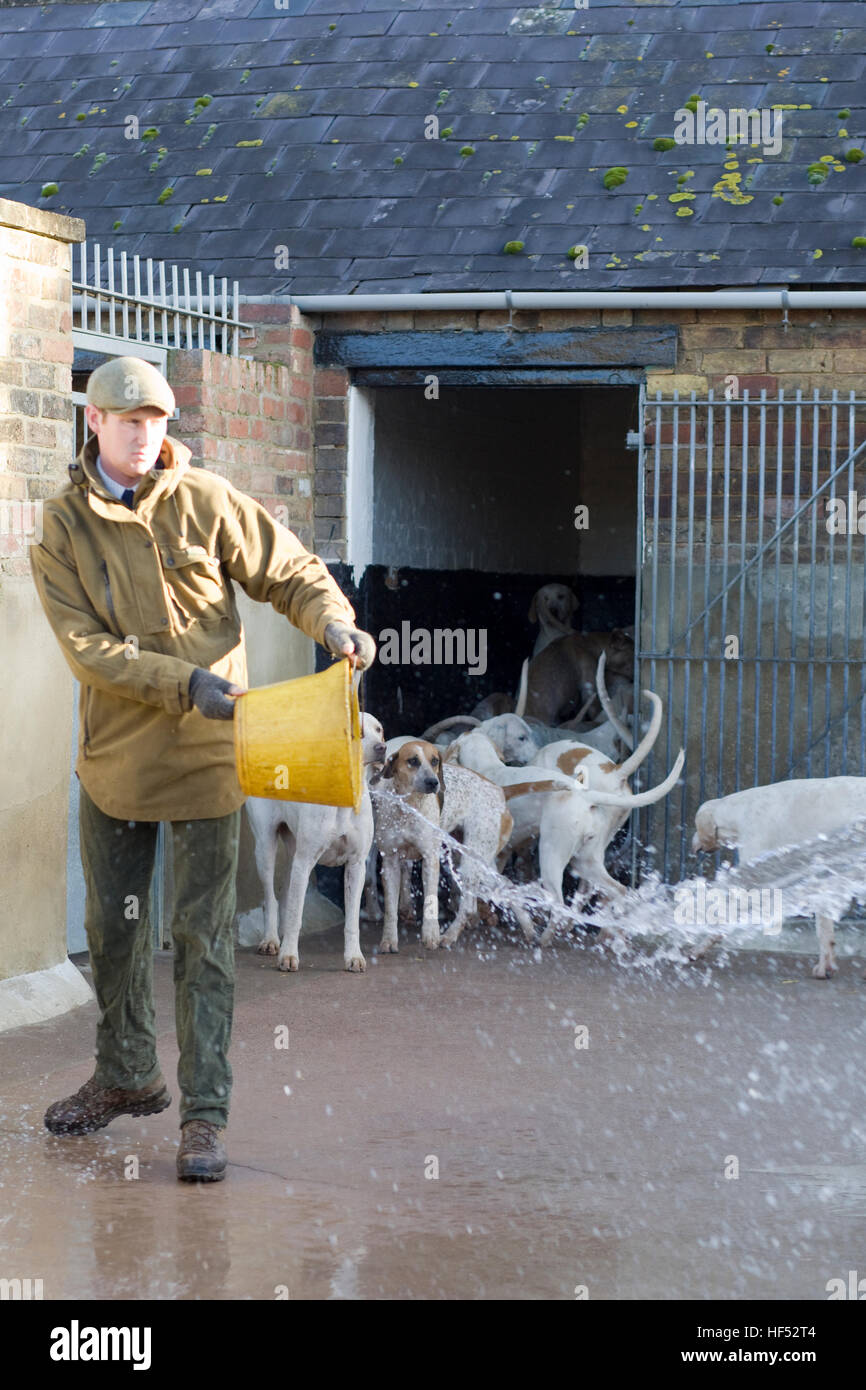 Washing down kennel hires stock photography and images Alamy