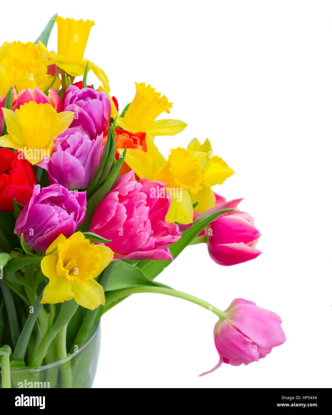 bouquet of tulips and daffodils Stock Photo - Alamy
