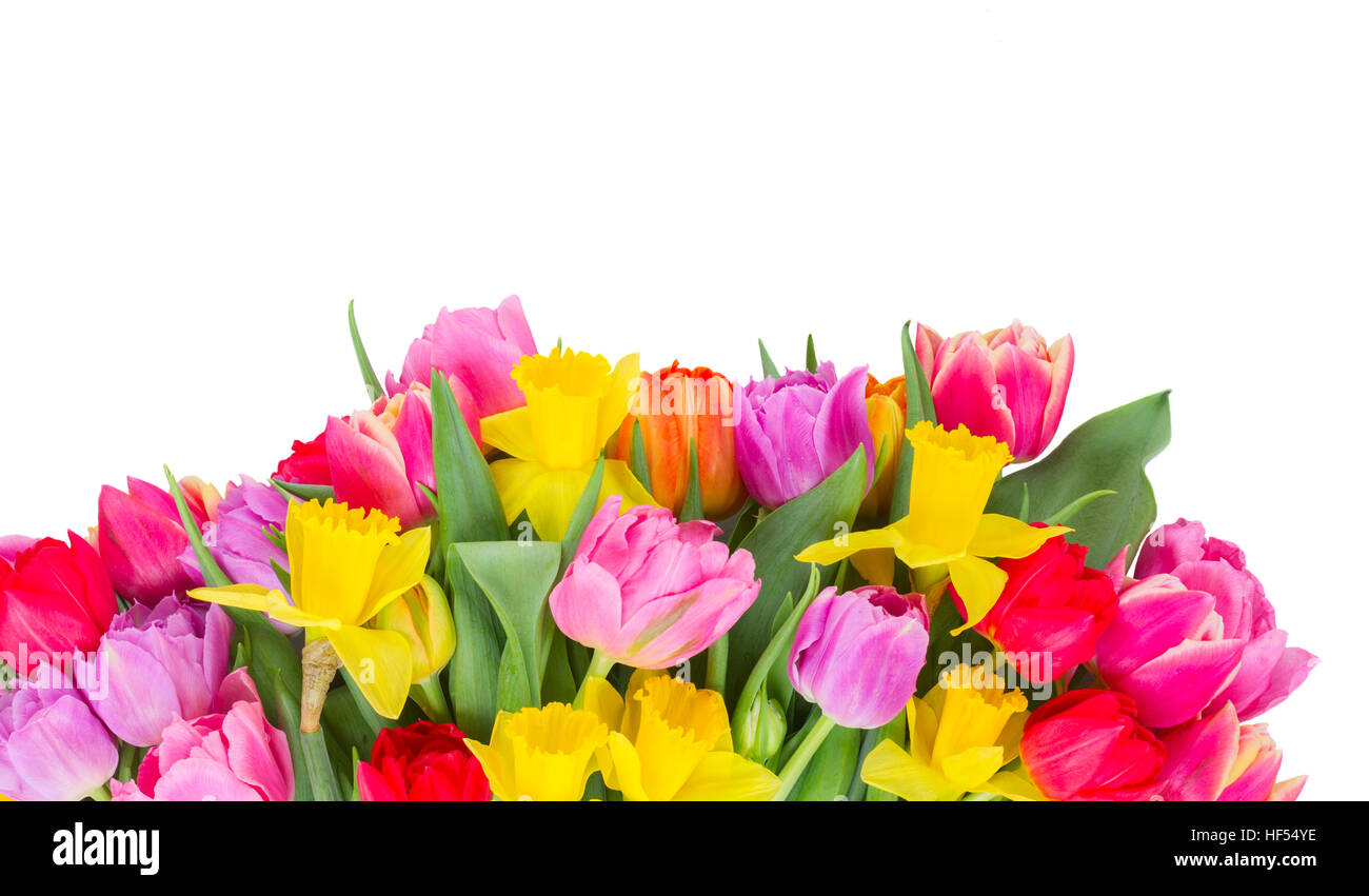bouquet of tulips and daffodils Stock Photo - Alamy