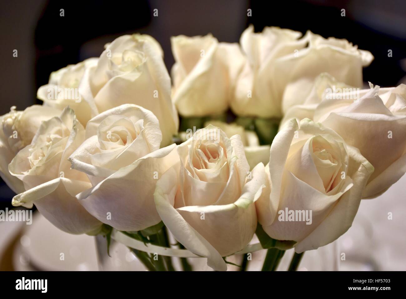 A bouquet of a dozen white roses Stock Photo Alamy