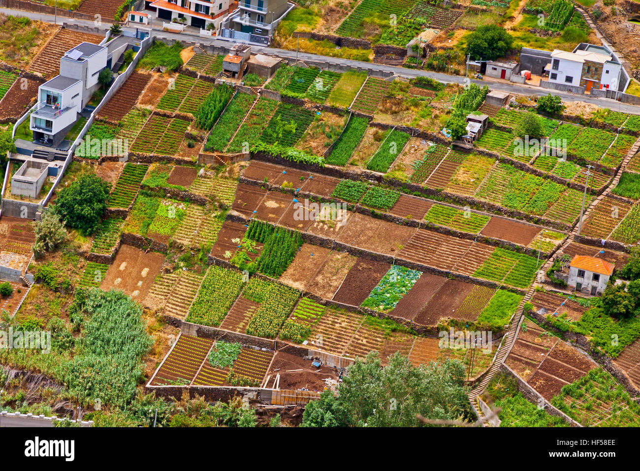 Picturesque rural landscape of Madeira island, Portugal Stock Photo