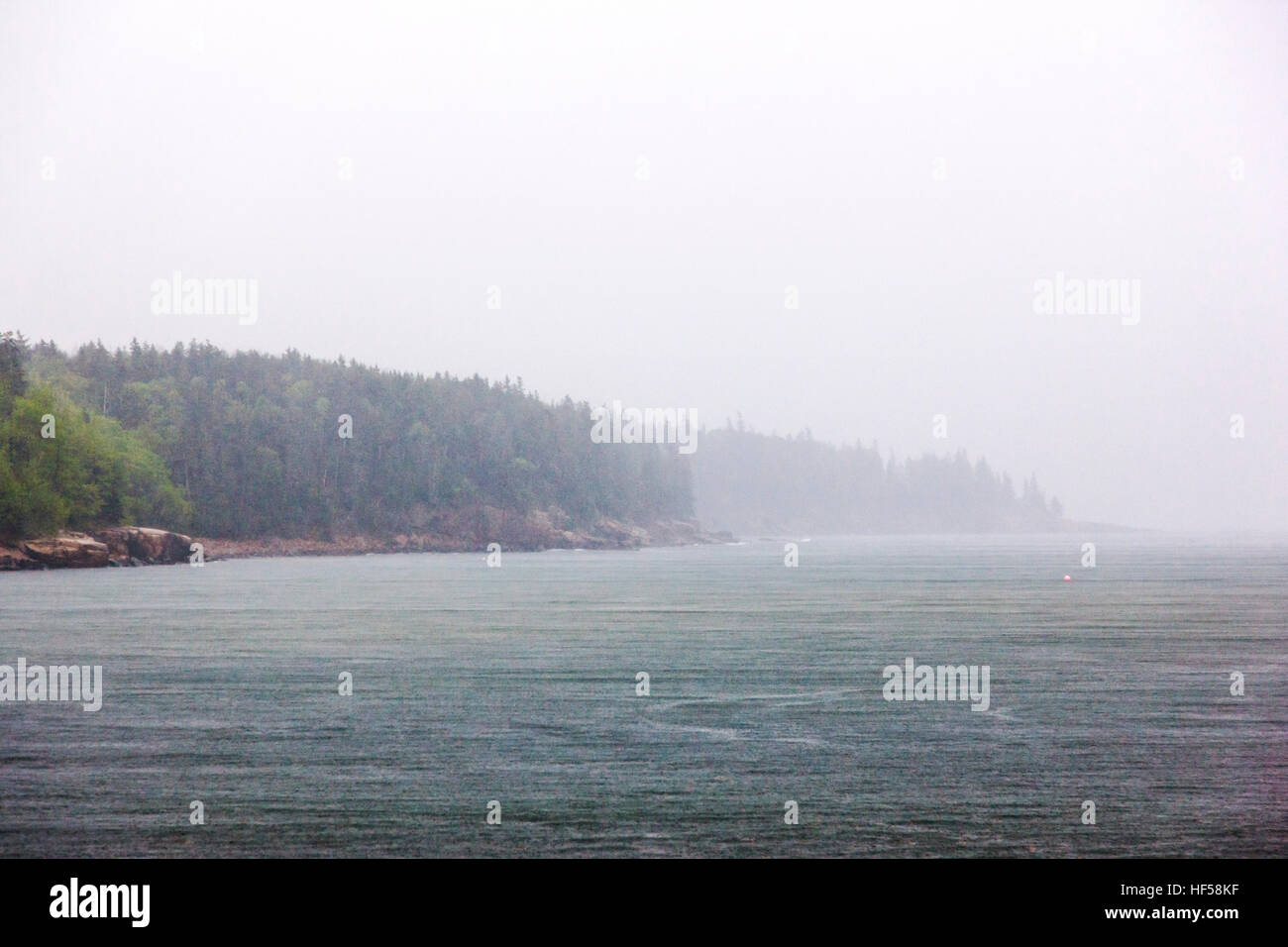 Otter Cove in a foggy rainstorm; Acadia National Park; Maine; USA Stock Photo