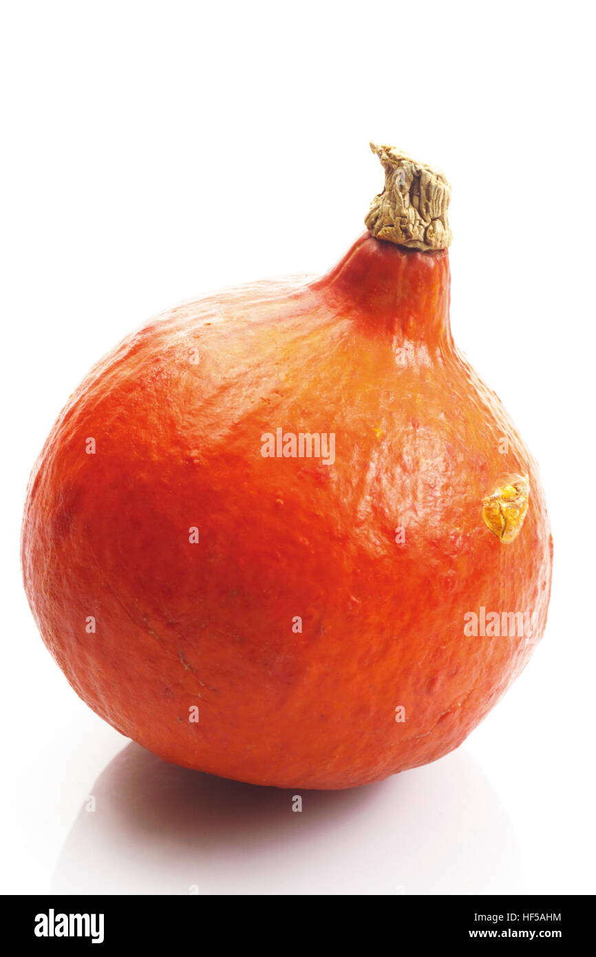 Japanese Hokkaido pumpkin (Cucurbita maxima Stock Photo - Alamy