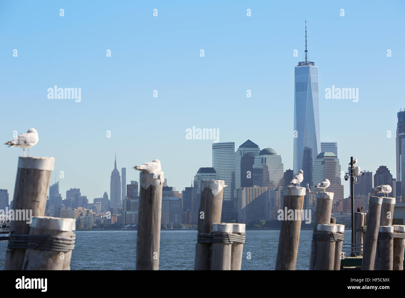 One World Trade Center and New York city skyline view and pier poles with seagulls in a sunny day Stock Photo