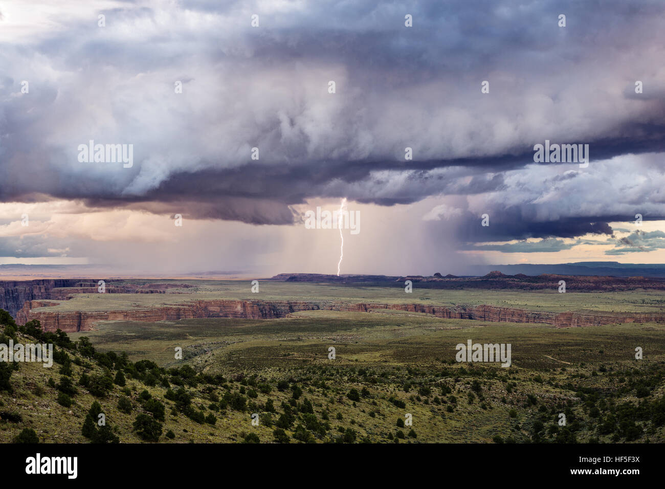 Distant lightning strike dramatic storm clouds over the Little Colorado River valley during a summer thunderstorm Stock Photo