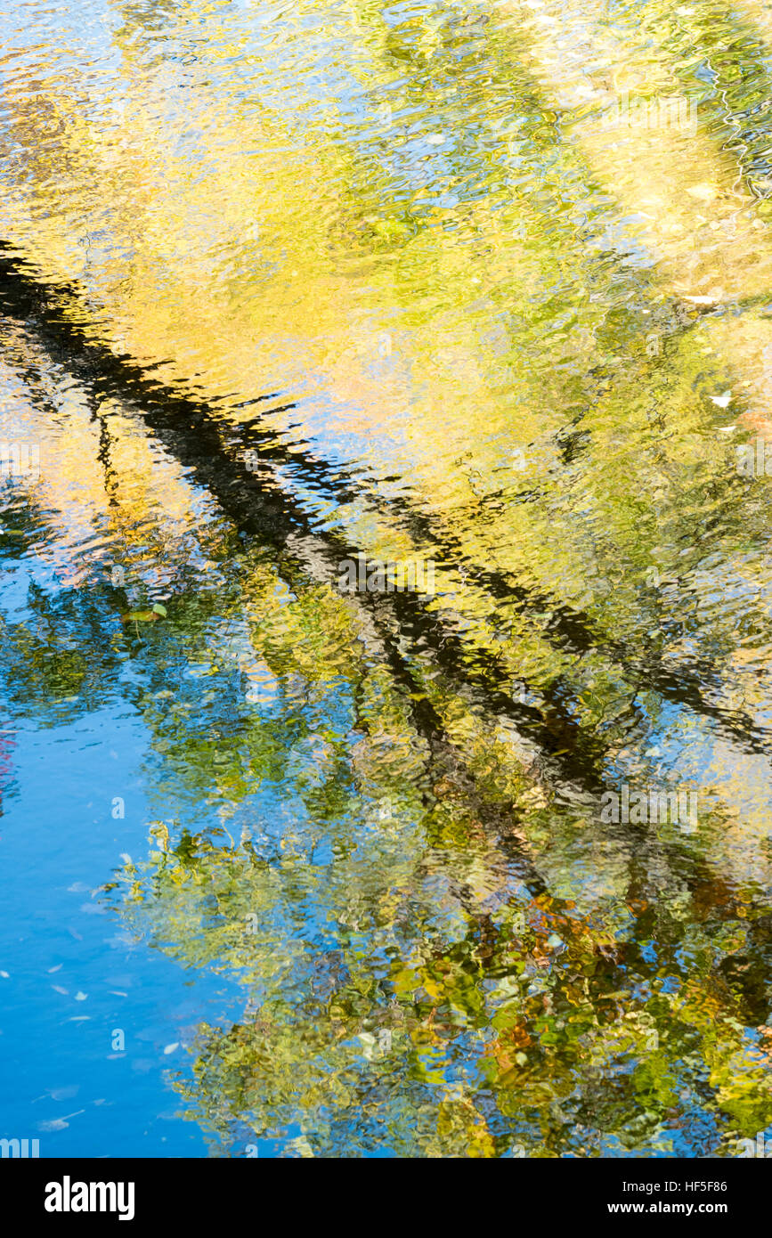 Trees reflected in Whetstone Brook, Brattleboro, Vermont. Stock Photo