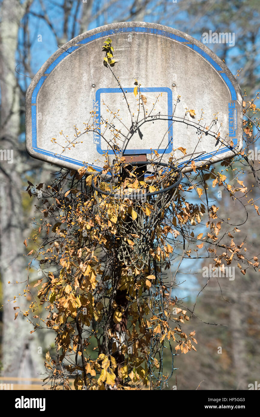 Abandoned basketball backboard and hoop, Westminster West, Vermont. Stock Photo