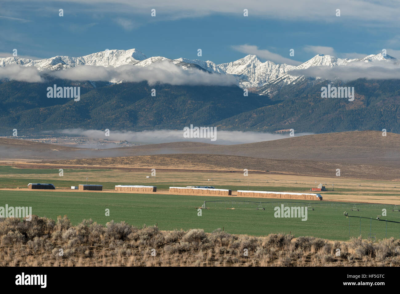 Baker valley irrigation hires stock photography and images Alamy