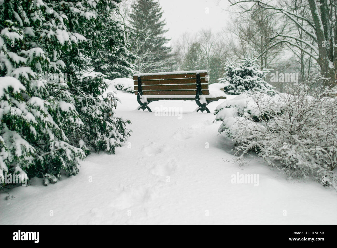 A park bench is covered in a blanket of fresh snow Stock Photo - Alamy
