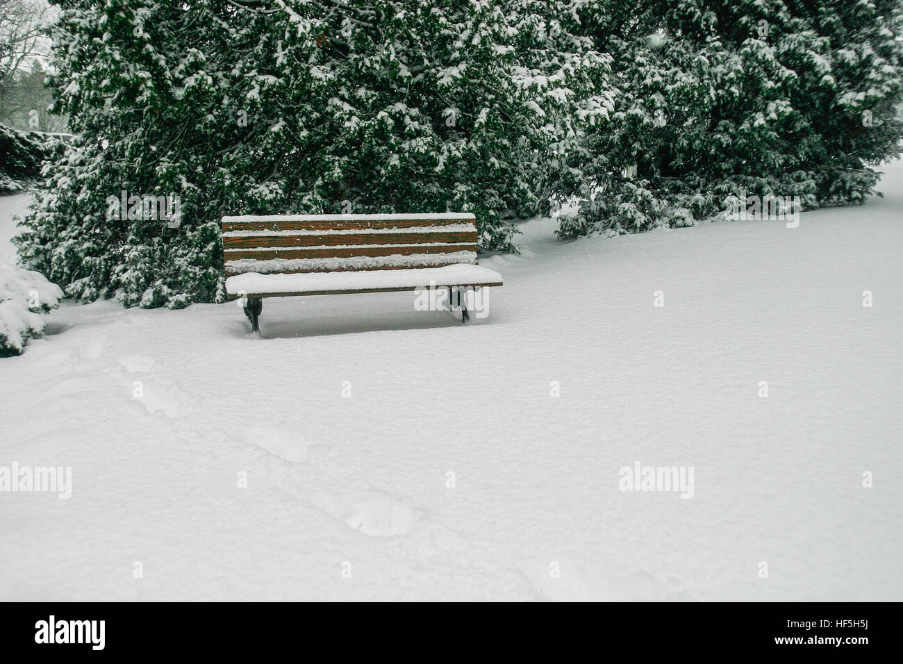 A park bench is covered in a blanket of fresh snow Stock Photo - Alamy