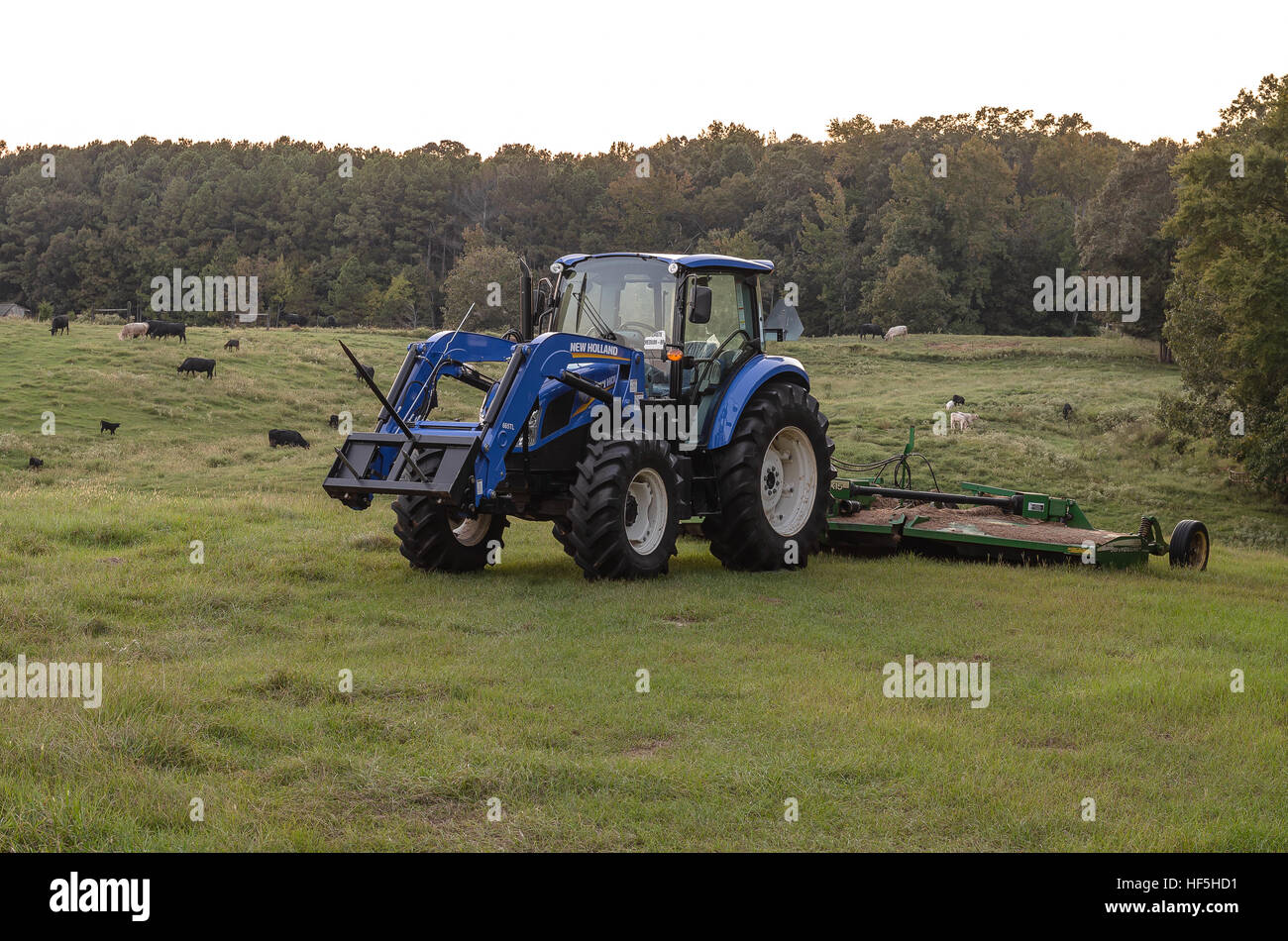 Cutting the Pasture Stock Photo - Alamy
