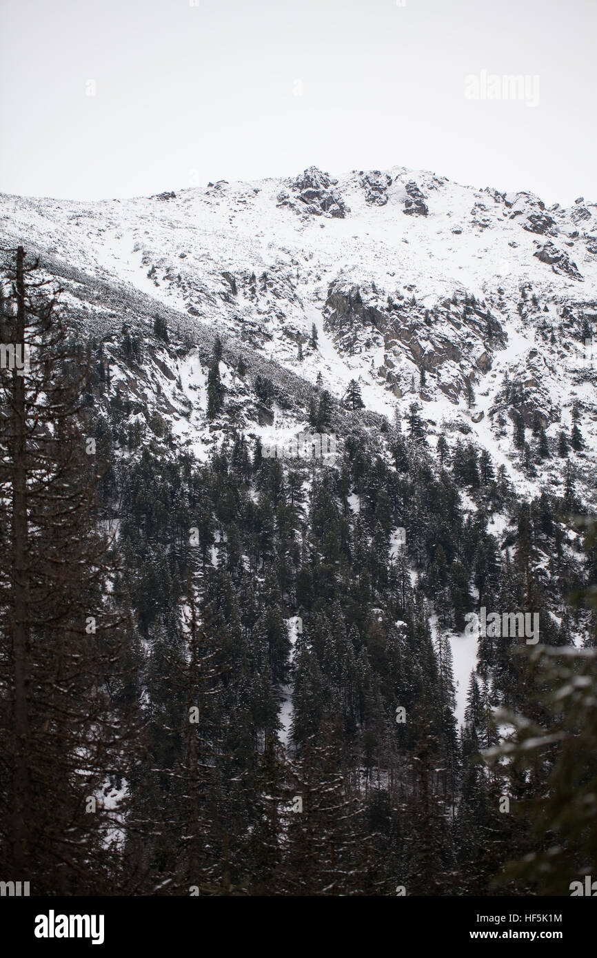 Mountains - Zakopane in the winter - monochrome Stock Photo