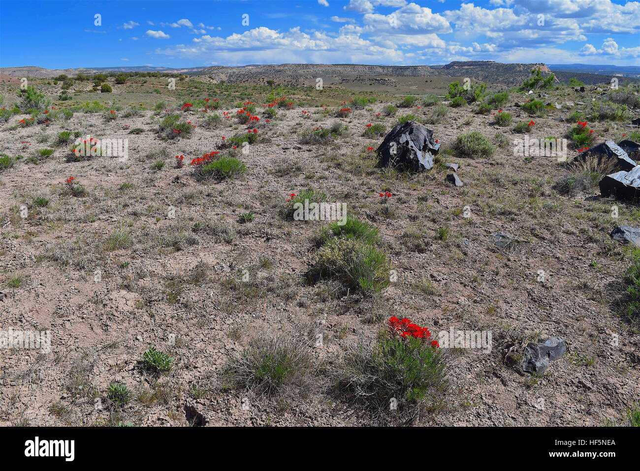 Rabbit valley trail through time High Resolution Stock Photography and