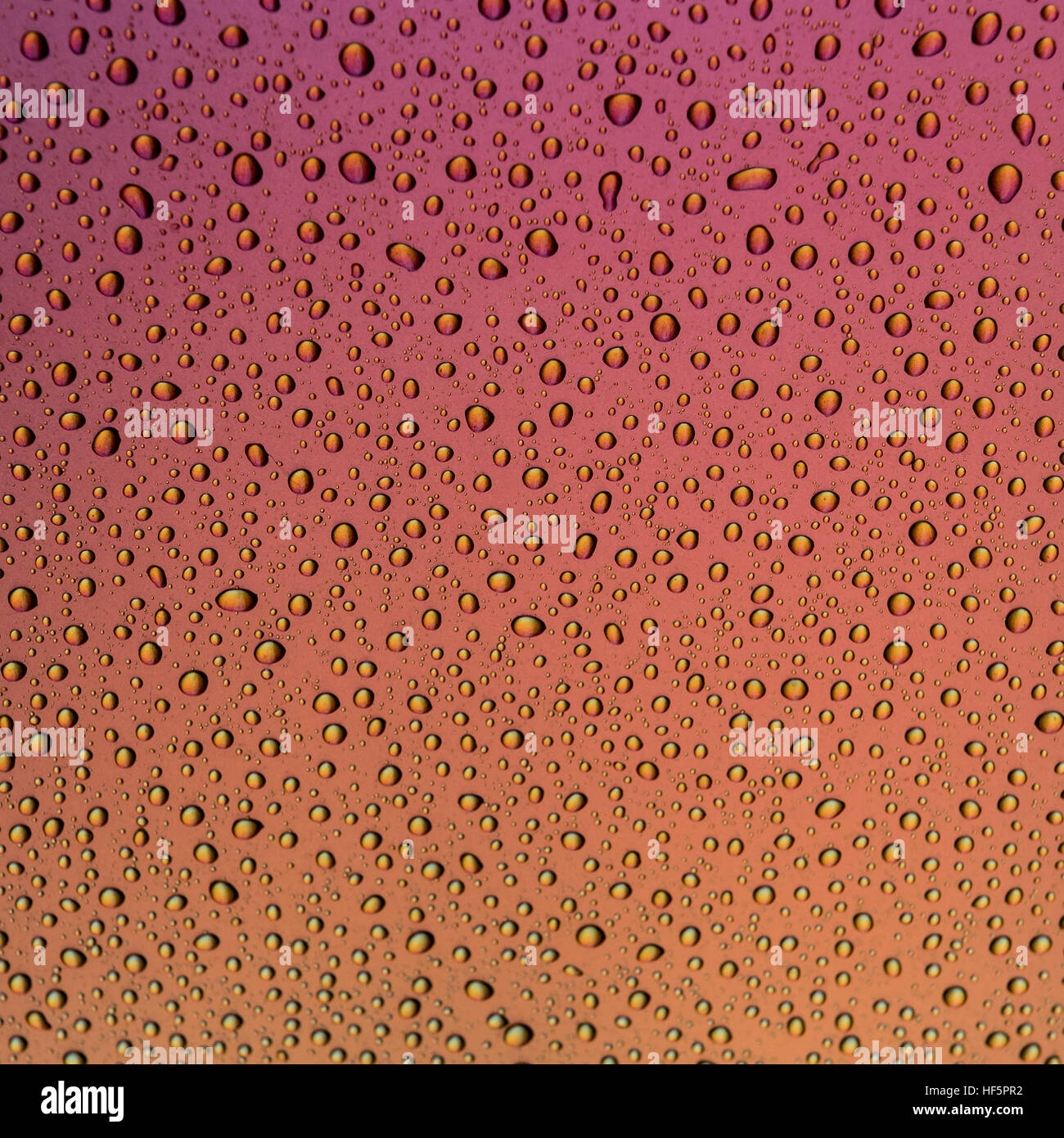 Water drops on a mettalic surface with a pink to orange and yellow gradient Stock Photo