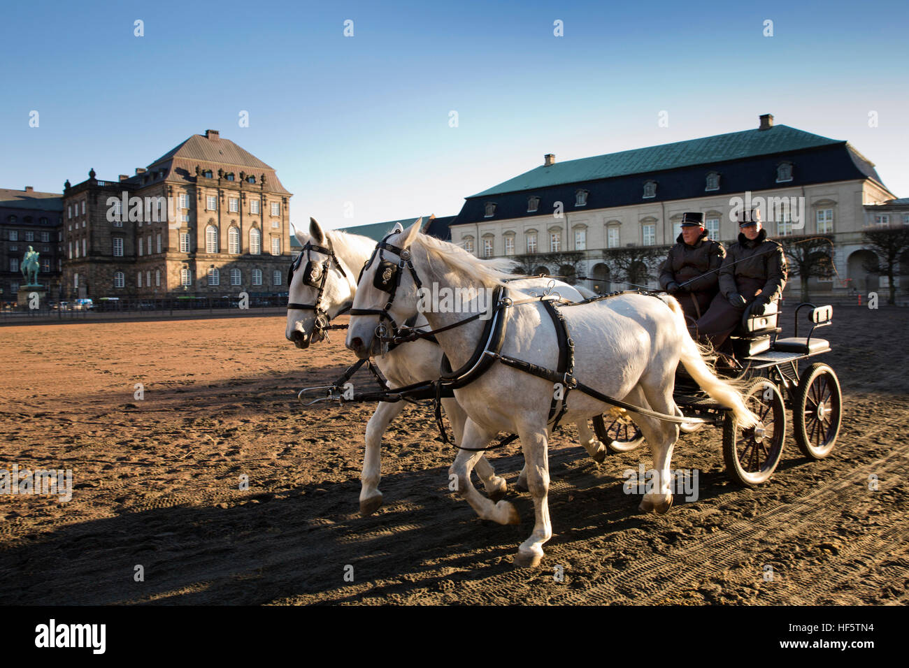 Denmark, Copenhagen, Christiansborg Palace, exercising carriage horses in palace courtyard Stock Photo