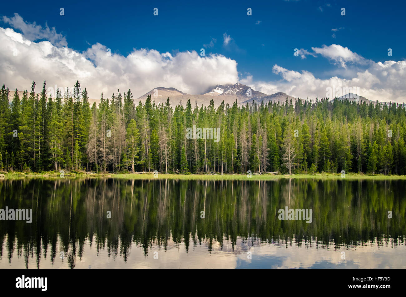 Landscape of mountains and forest reflected in a lake Stock Photo - Alamy