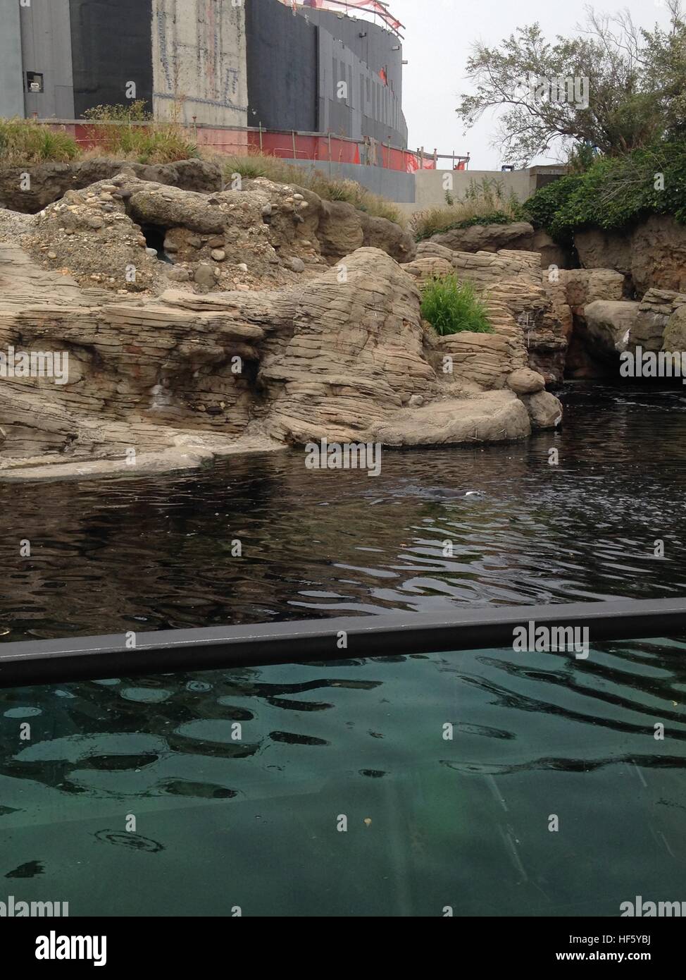 NY Aquarium Coney Island NY USA Stock Photo Alamy