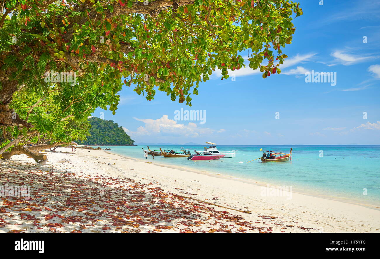 Beach of Koh Rok Island, Krabi Province, Thailand Stock Photo