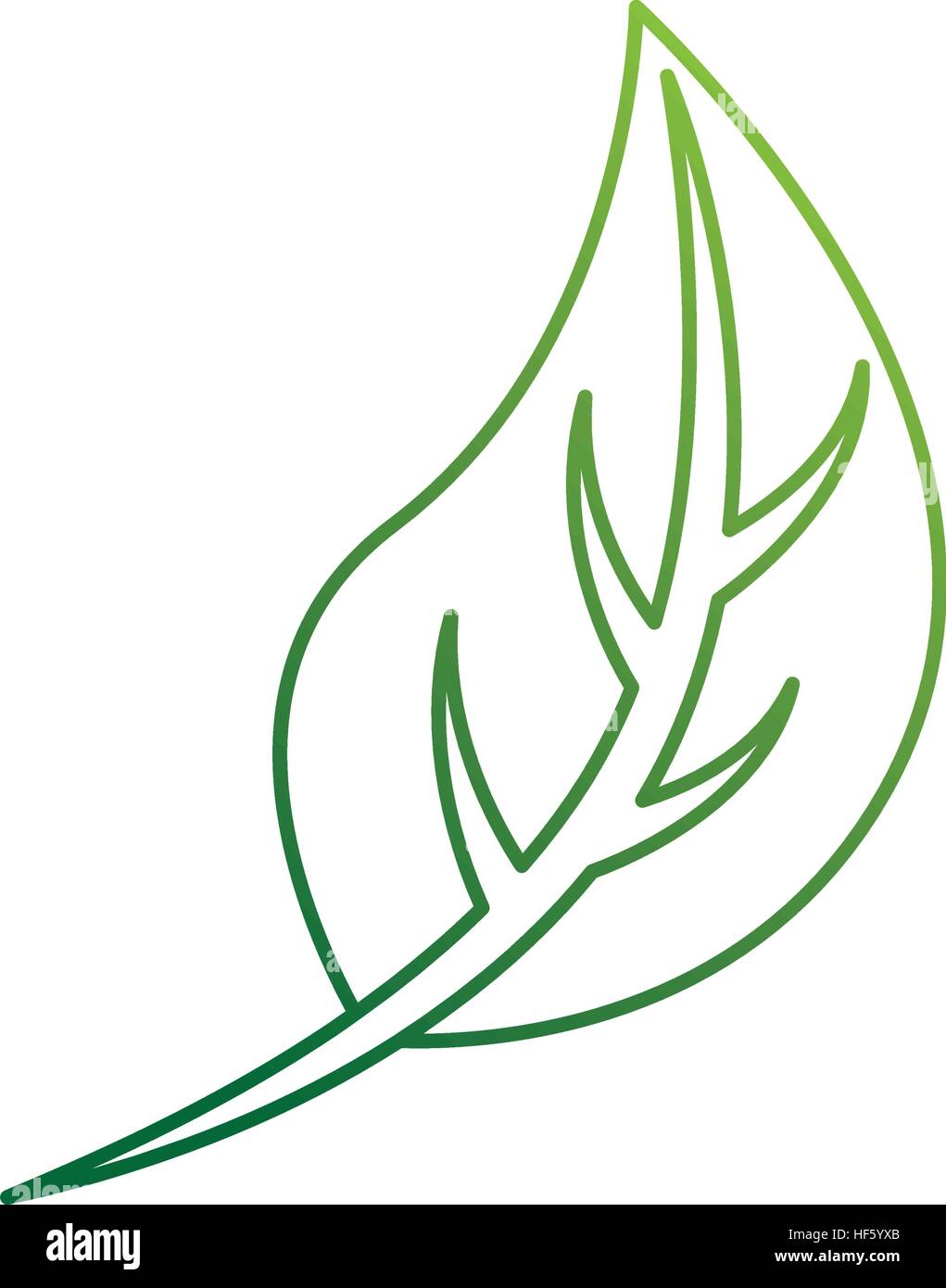 leafs plant isolated icon vector illustration design Stock Vector Image ...