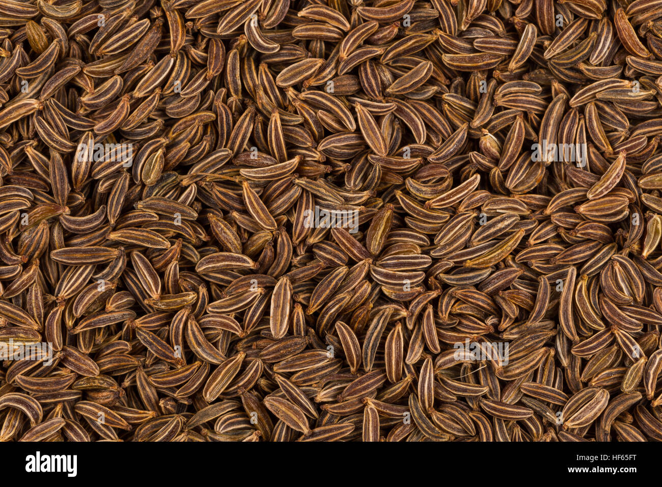 Pile of dry caraway seeds as a background Stock Photo - Alamy