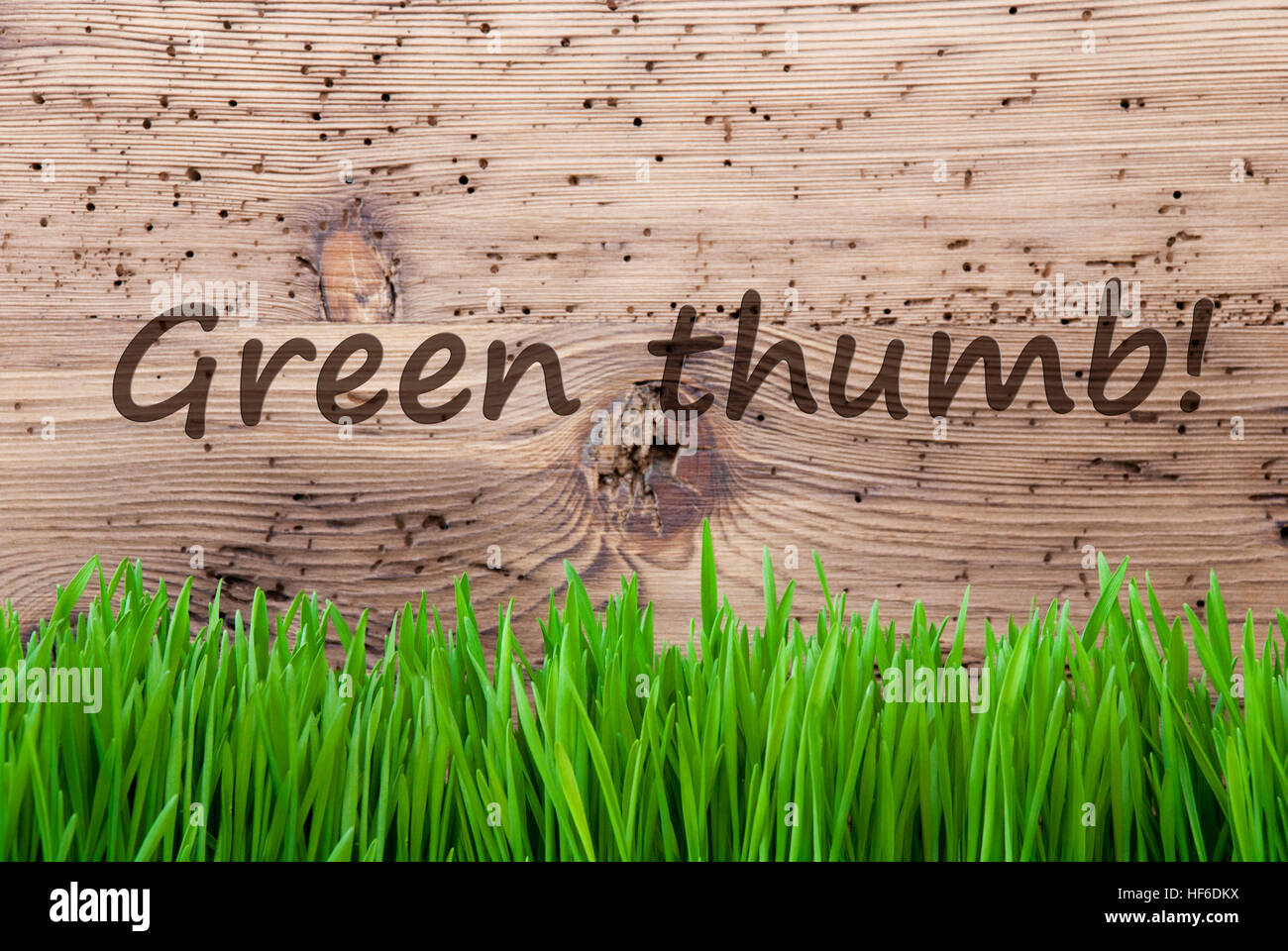 Bright Wooden Background, Gras, Text Green Thumb Stock Photo