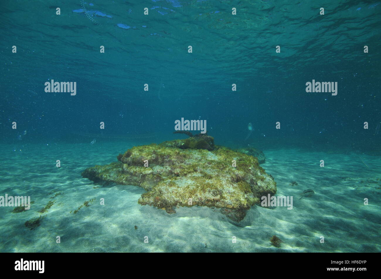 Flat rock on flat sea bottom in shallow water Stock Photo