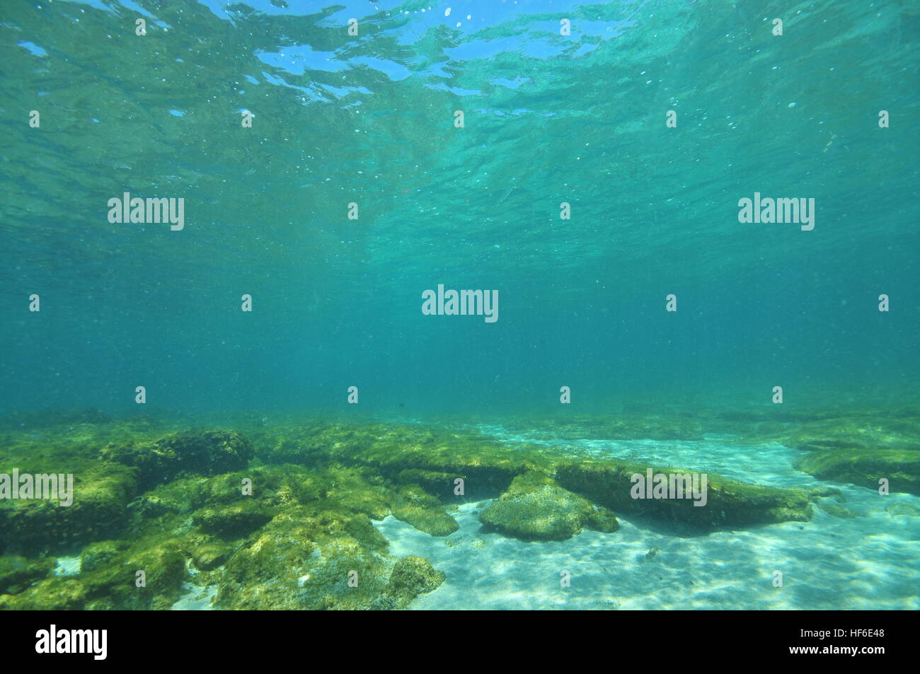Flat sea bottom with areas of sand and flat rocks Stock Photo