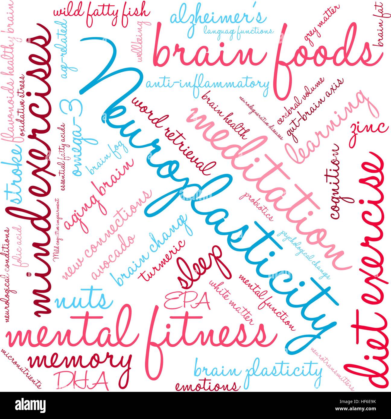 Neuroplasticity word cloud on a white background Stock Vector Image ...