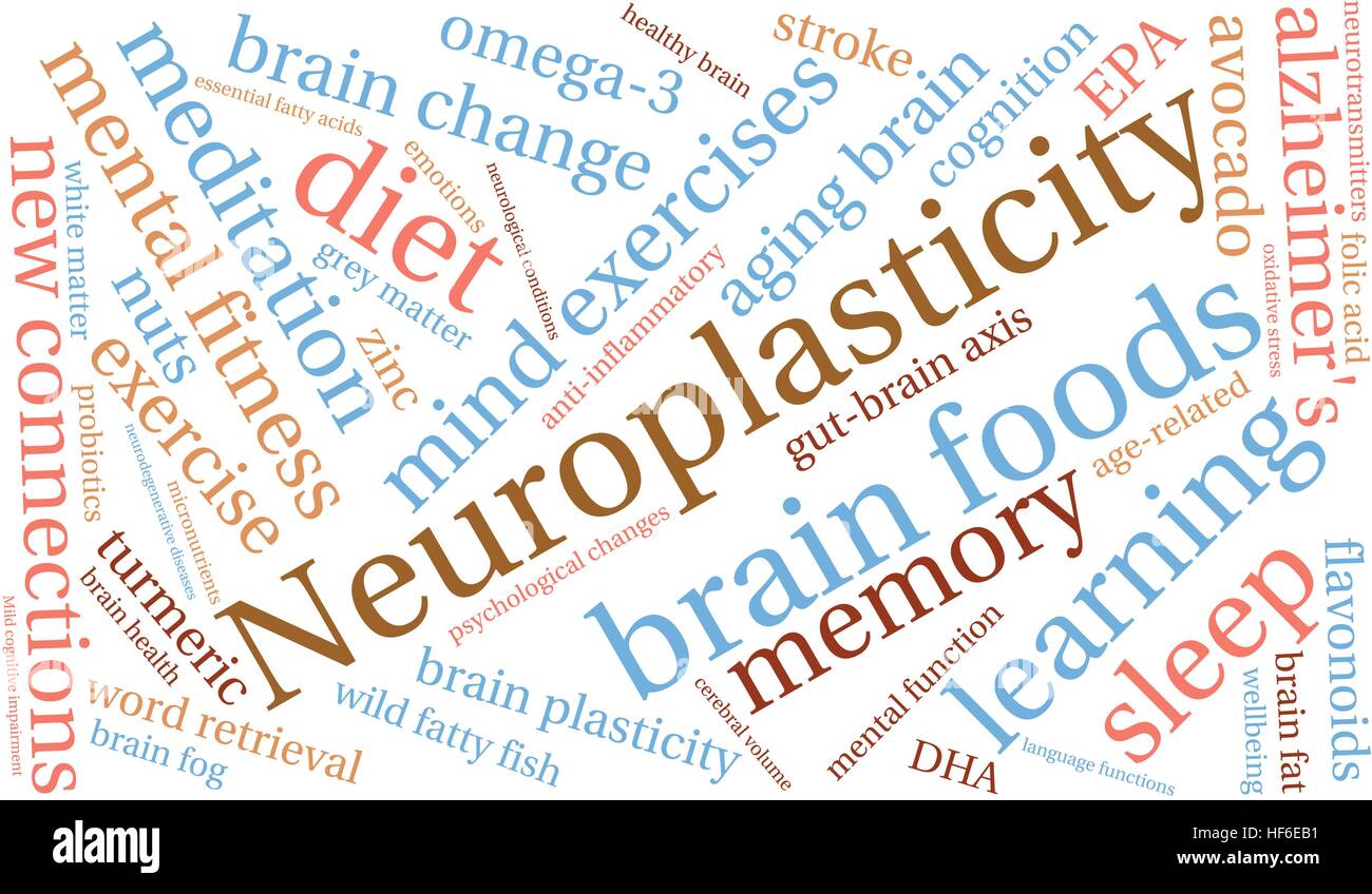 Neuroplasticity word cloud on a white background. Stock Vector