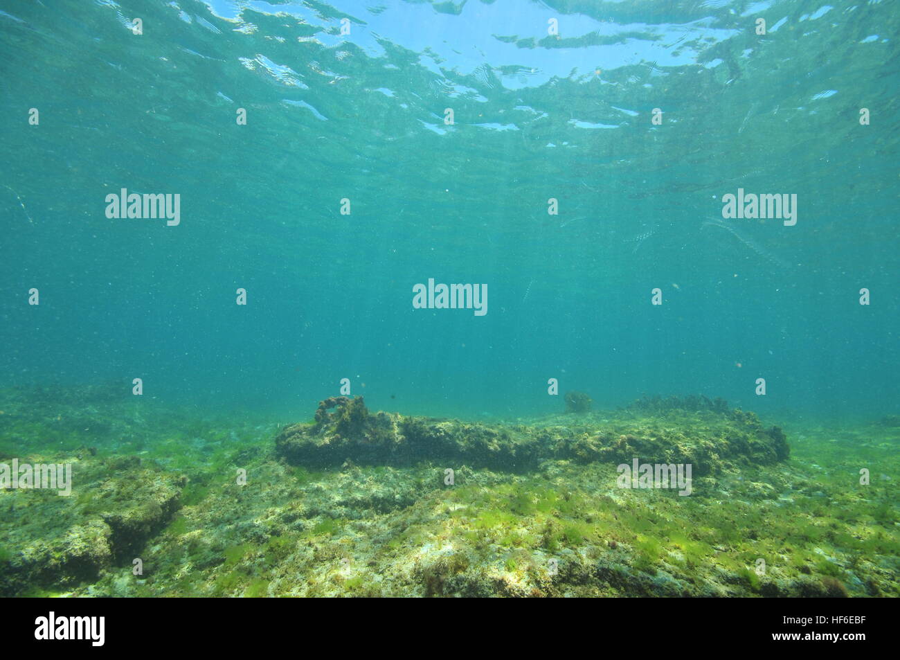 Flat sea bottom with areas of sand and flat rocks Stock Photo