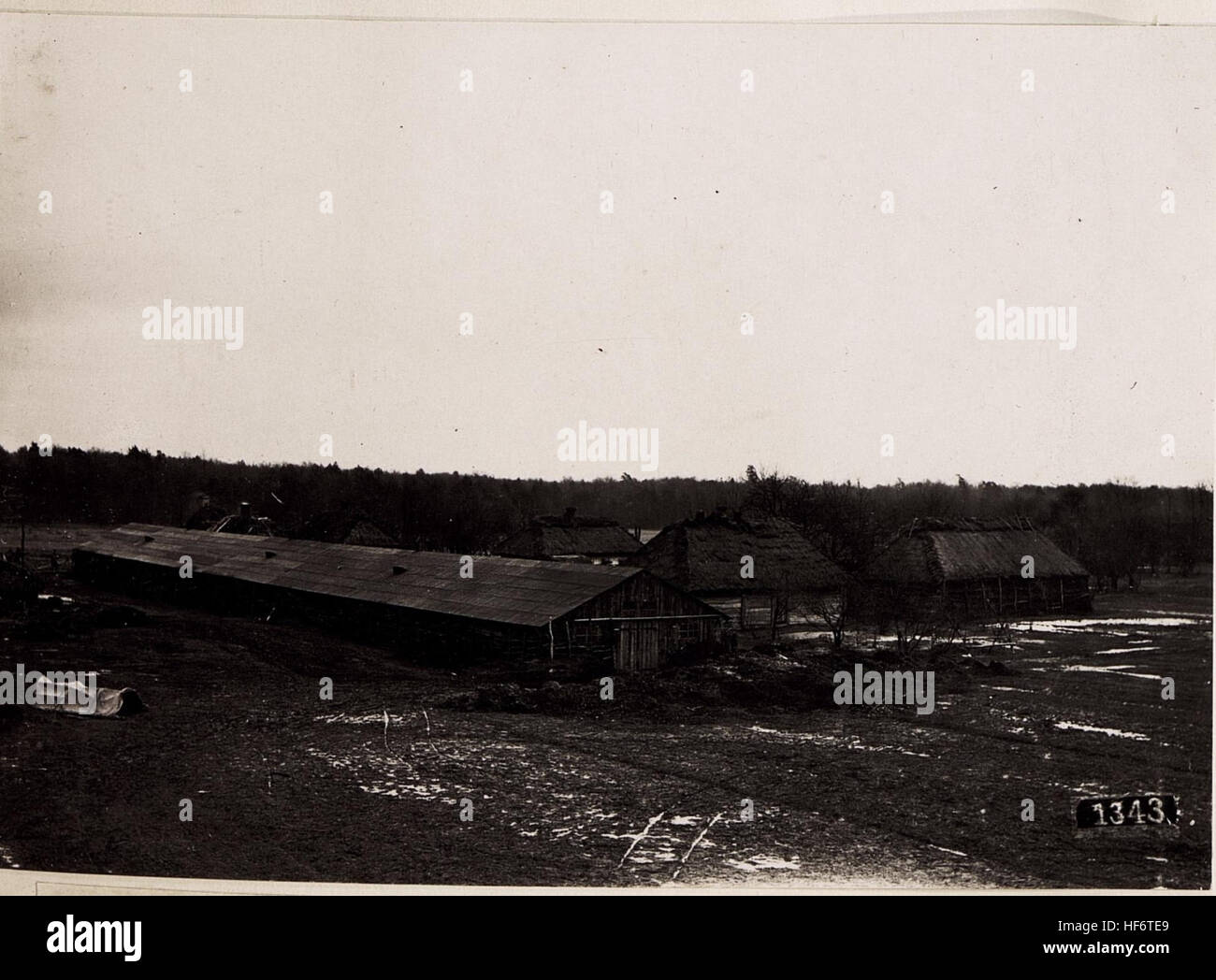 A photograph of the horse hospital in Poniczew, taken on 28 February ...