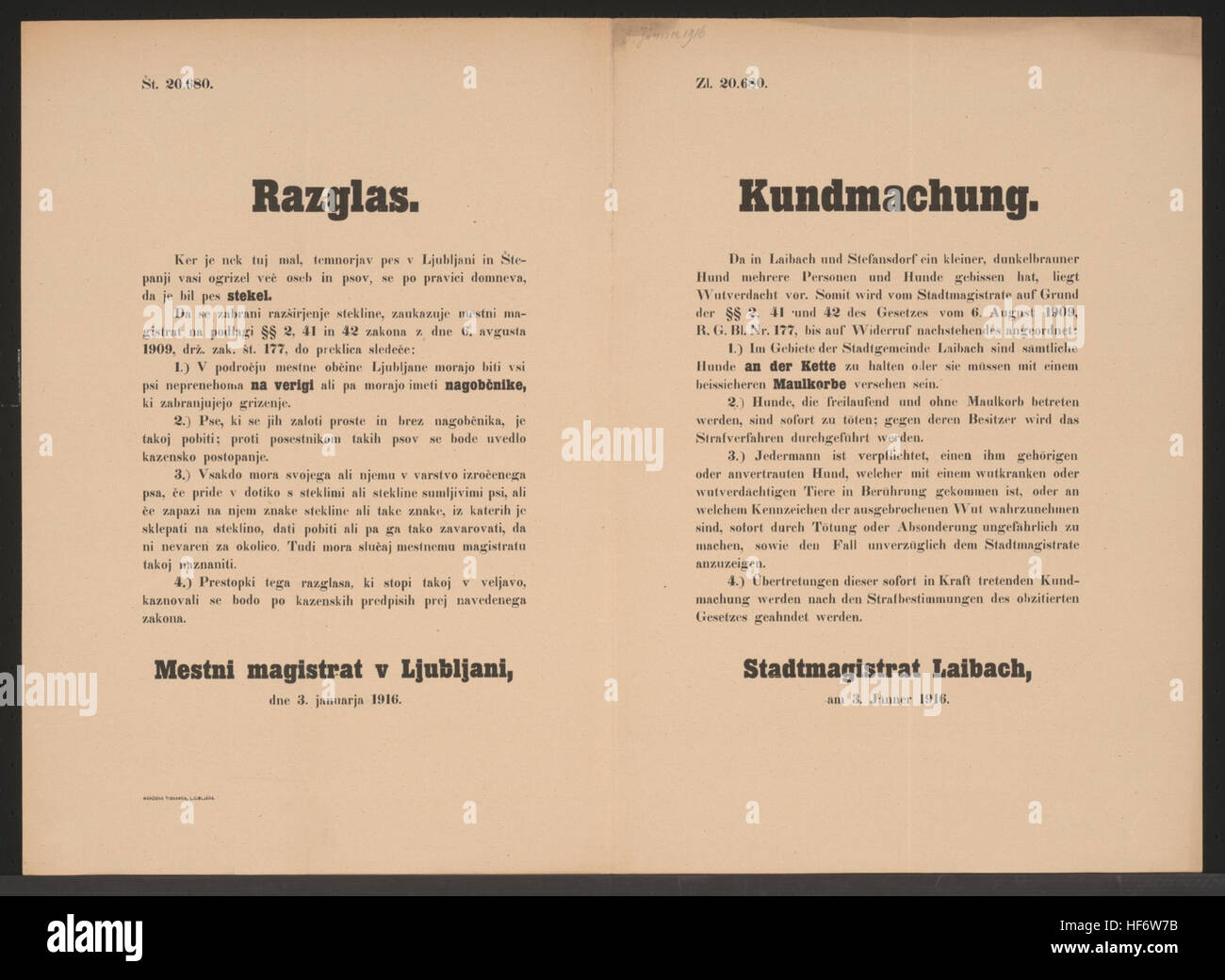 Verdacht auf Tollwut in Laibach und Stefansdorf - Hunde sind an die Kette zu legen und Maulkörbe zu verwenden - Bei Wutverdacht, Anzeige beim Stadtmagistrat und Tötung der Tiere - Stadtmagistrat Laibach, am 3. Jänner 1916 - Zl. 20.680 Tollwut - Kundmachung - Laibach - Mehrsprachiges Plakat 1916 (2) Stock Photo