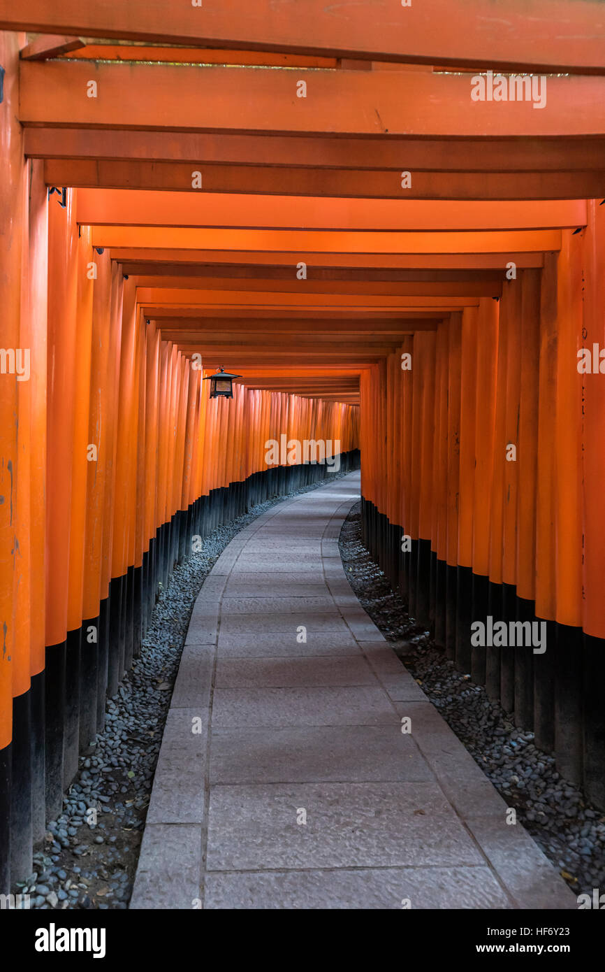 The vermilion tunnel of torii gates, Fushimi Inari Taisha Shinto Shrine ...