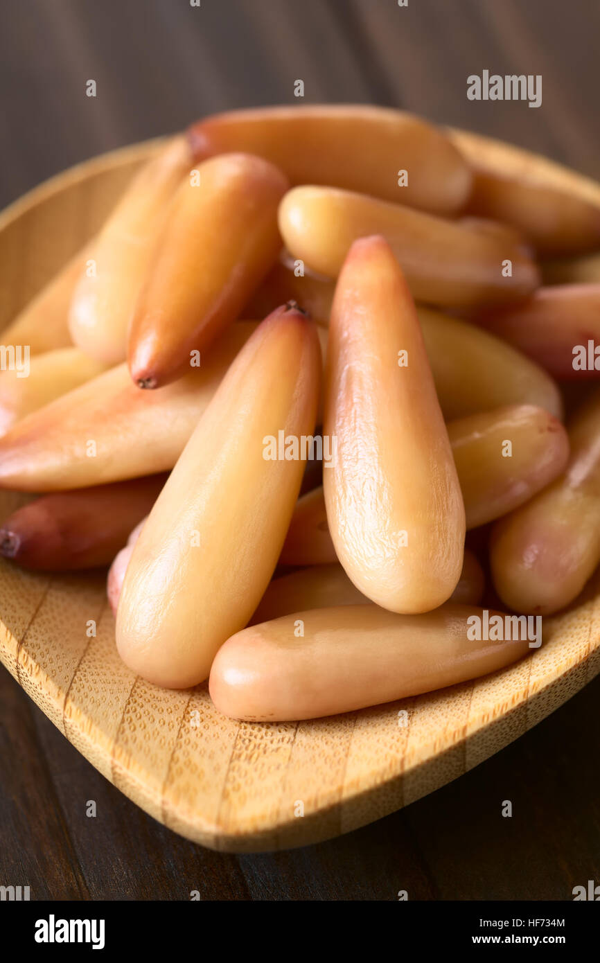 Peeled cooked Chilean pinones pine nuts of the Chilean pine or monkey  puzzle tree (lat. Araucaria araucana Stock Photo - Alamy