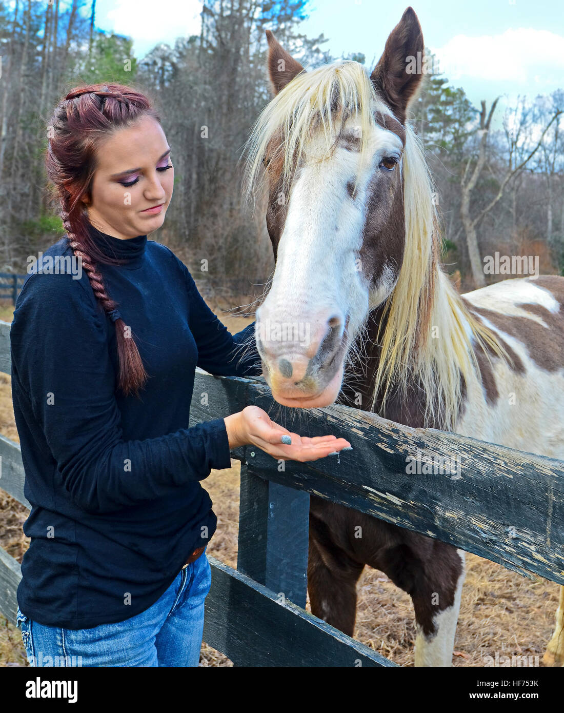 Young Girl with Horse in Pasture Stock Photo - Alamy