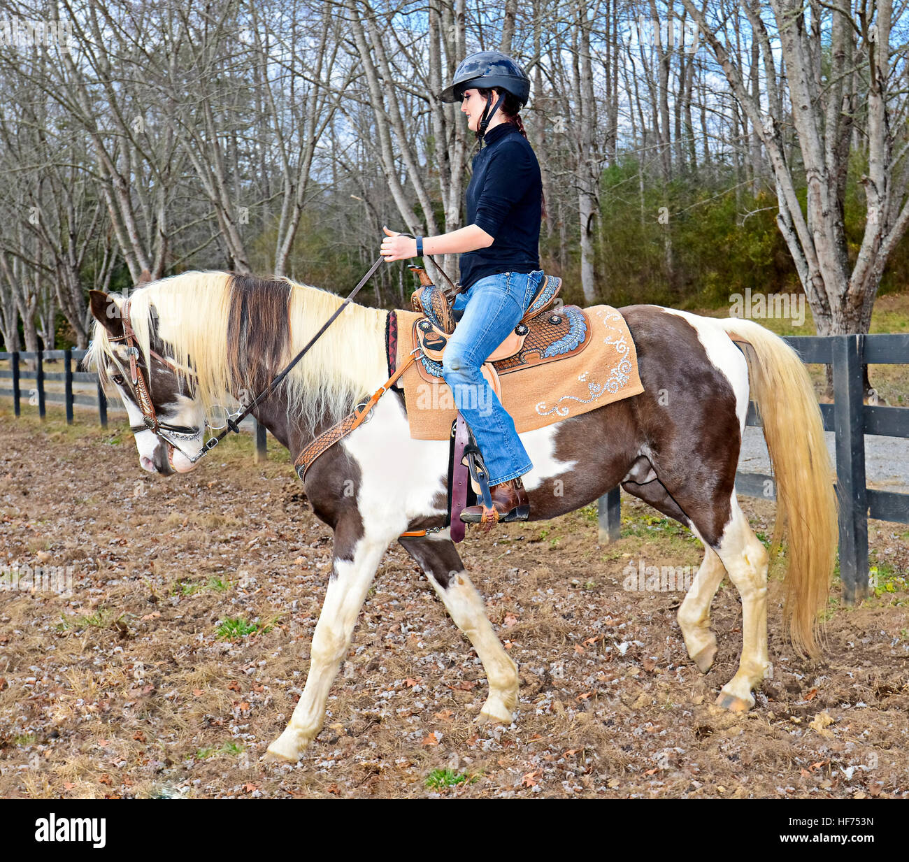 Beautiful teenage girl riding her horse in the pasture getting him ready to ride the trails. Stock Photo