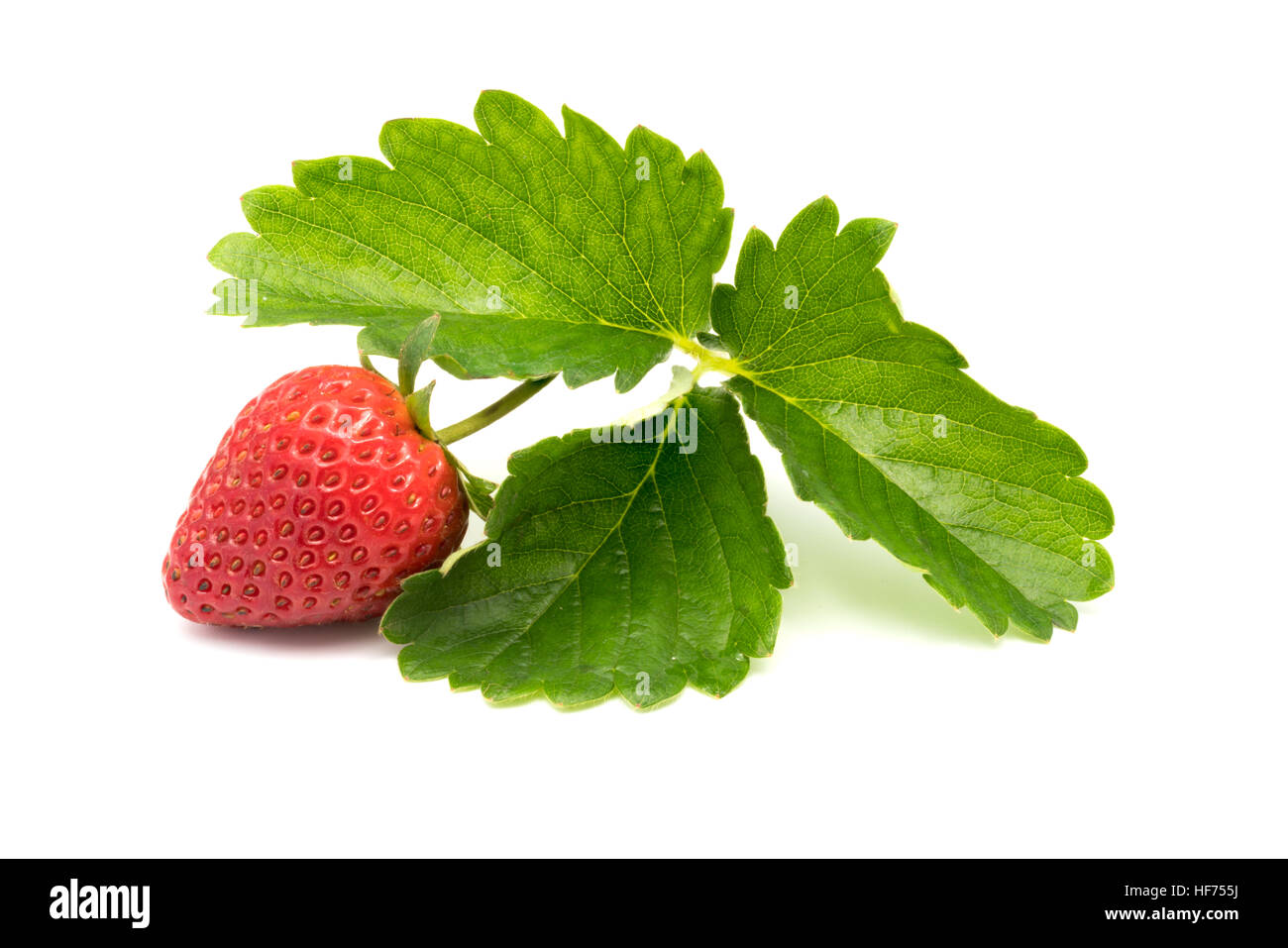 Fresh ripe strawberry with leaves isolated on white background Stock ...