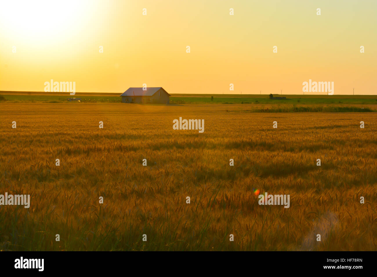 Wealth agriculture hi-res stock photography and images - Alamy