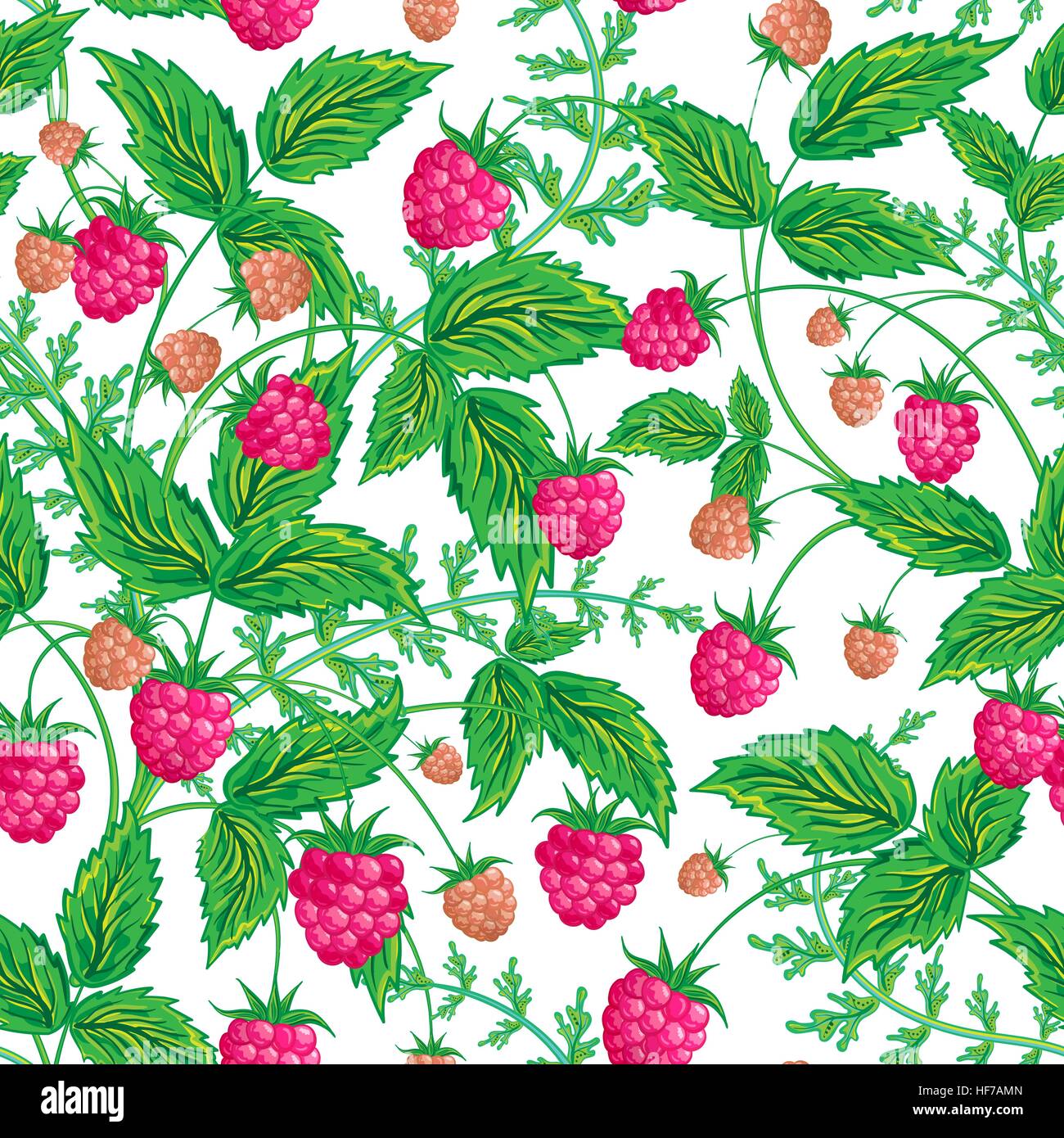 Fresh Raspberries iPhone Wallpapers Free Download