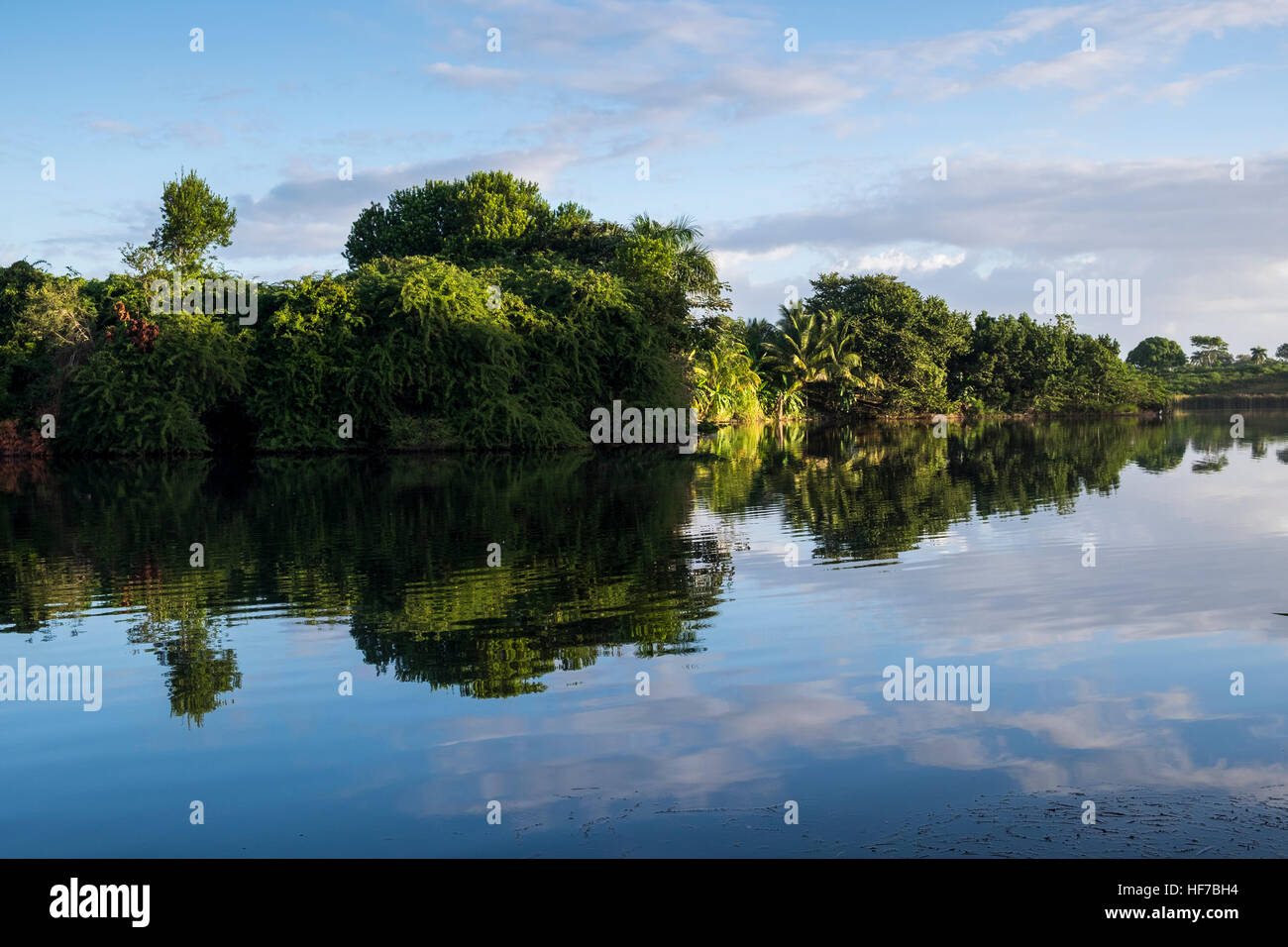 Early morning reflection in a lake near to Las Terrazas, Cuba Stock Photo