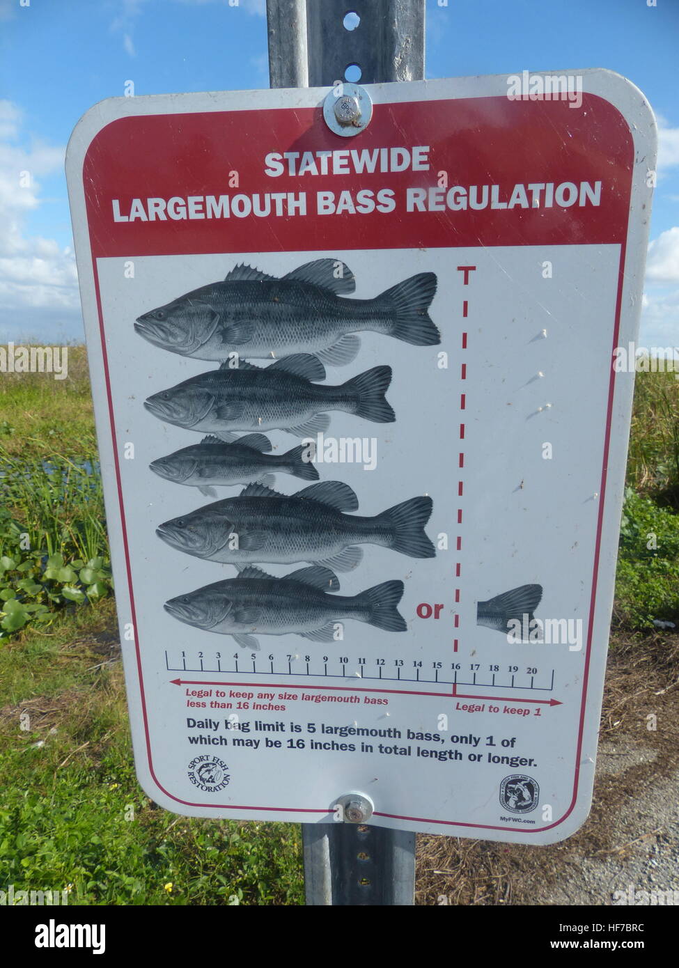 Bass fishing rules Stock Photo