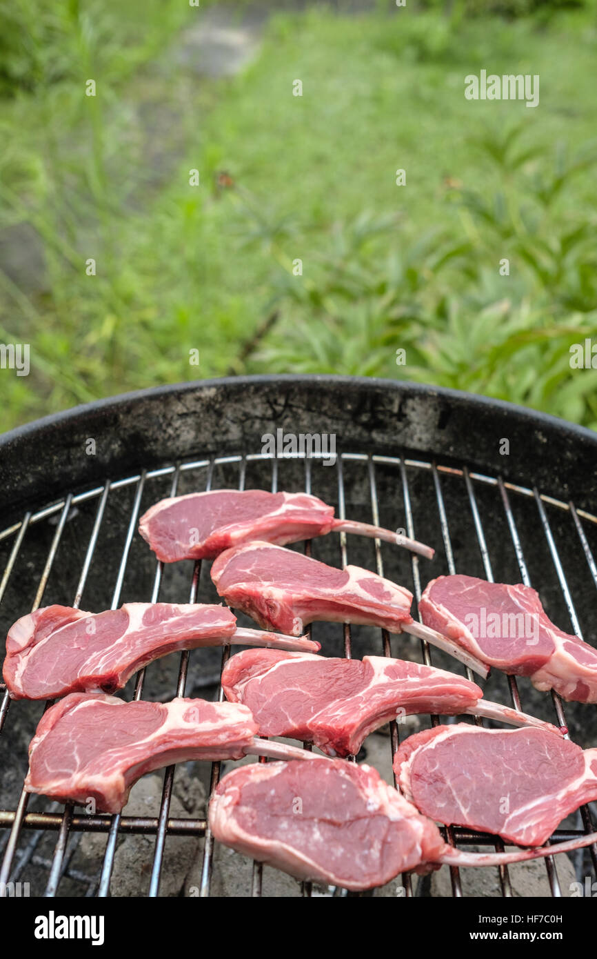 Raw lamb chops on barbecue grill, CloseUp Stock Photo Alamy