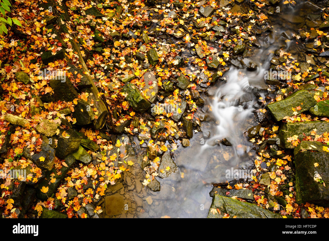 Small stream flowing over rocks in the fall Stock Photo - Alamy