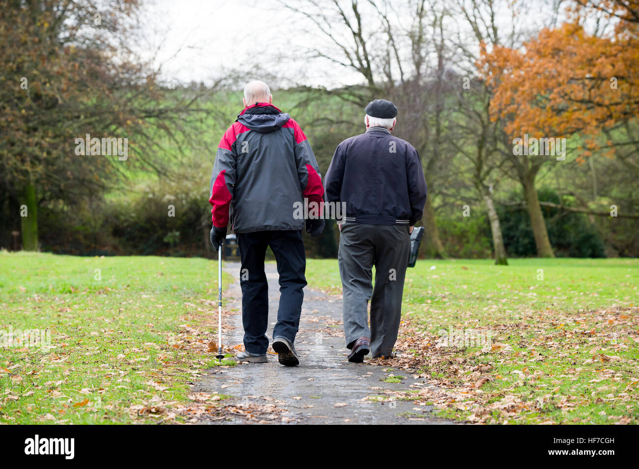 Two elderly men, one using a walking stick,  walking in an English park. Stock Photo
