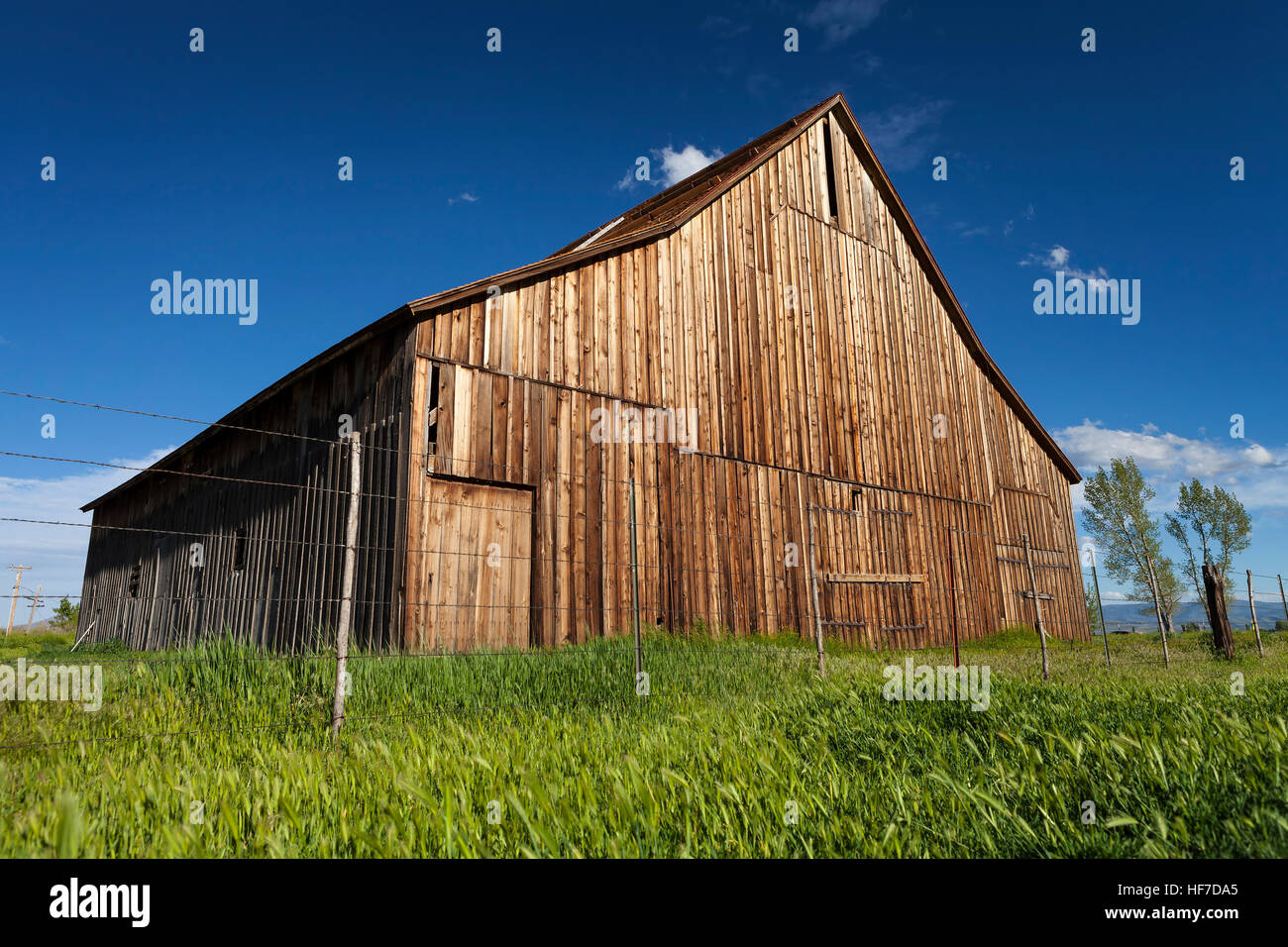 Old vintage barn on ranch with blue sky and green grass. Stock Photo