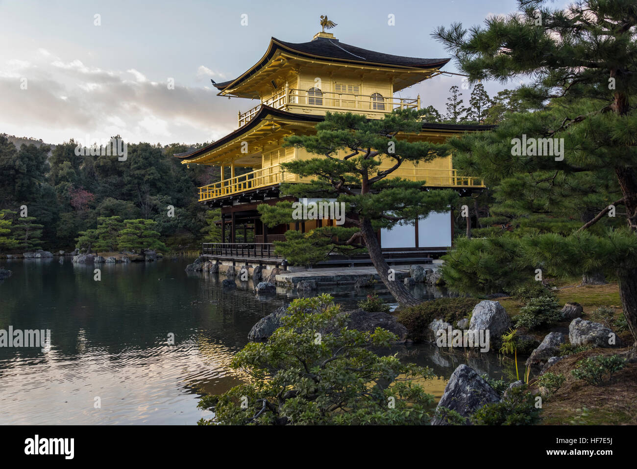 Kinkaku-ji (Golden Pavilion) from the side with cypress trees, Rokuon-ji temples complex, Kyoto, Japan Stock Photo