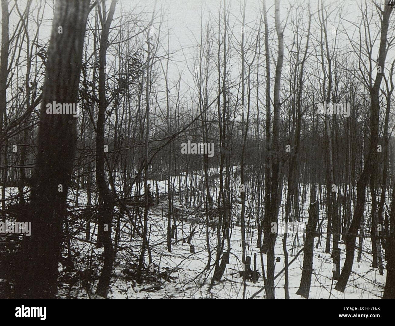 War album 106, Image 32417, 2nd Army, World War I, Europeana ...