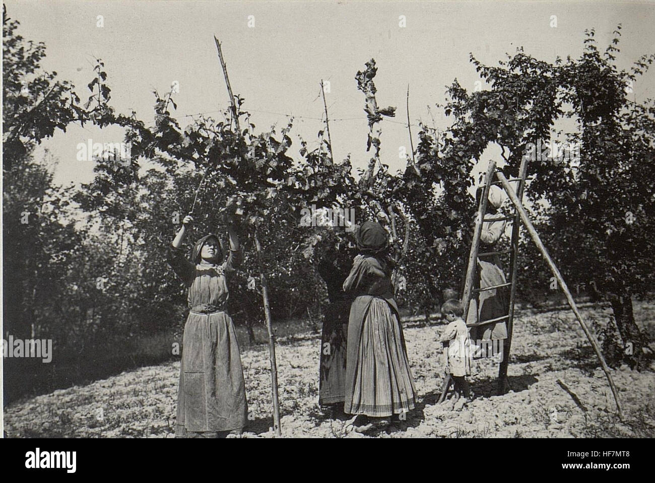 Children first world war hi-res stock photography and images - Alamy