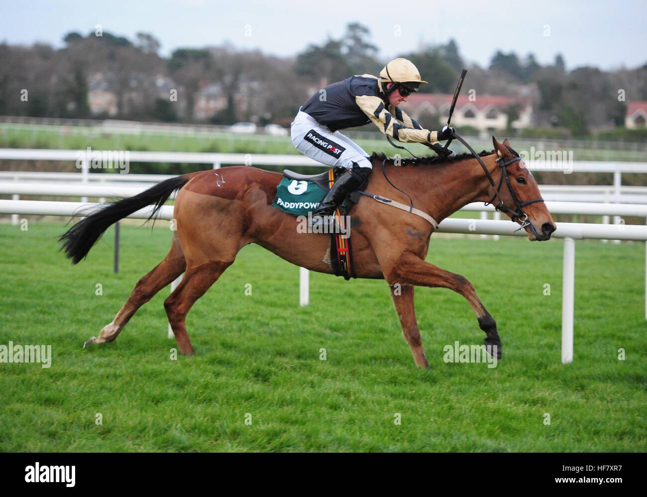 Ballyward ridden by Patrick Mullins wins the Paddy Power Games One For The Road Flat Race during day two of the Christmas Festival at Leopardstown Racecourse. Stock Photo