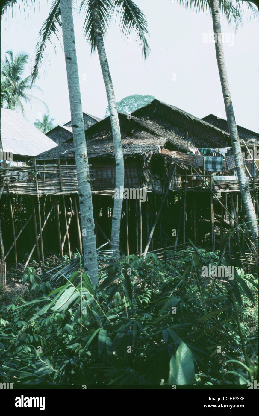 Long houses in the jungle, built on stilts; Kuching area, Sarawak, NW Borneo, Malaysia.  By building on stilts people stay cooler, are protected from flooding and from some wild animals. Stock Photo